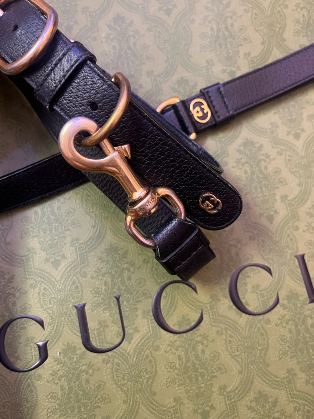 Gucci Dog Collar & Leash Black Leather with Gold Hardware GG Accents Size Large